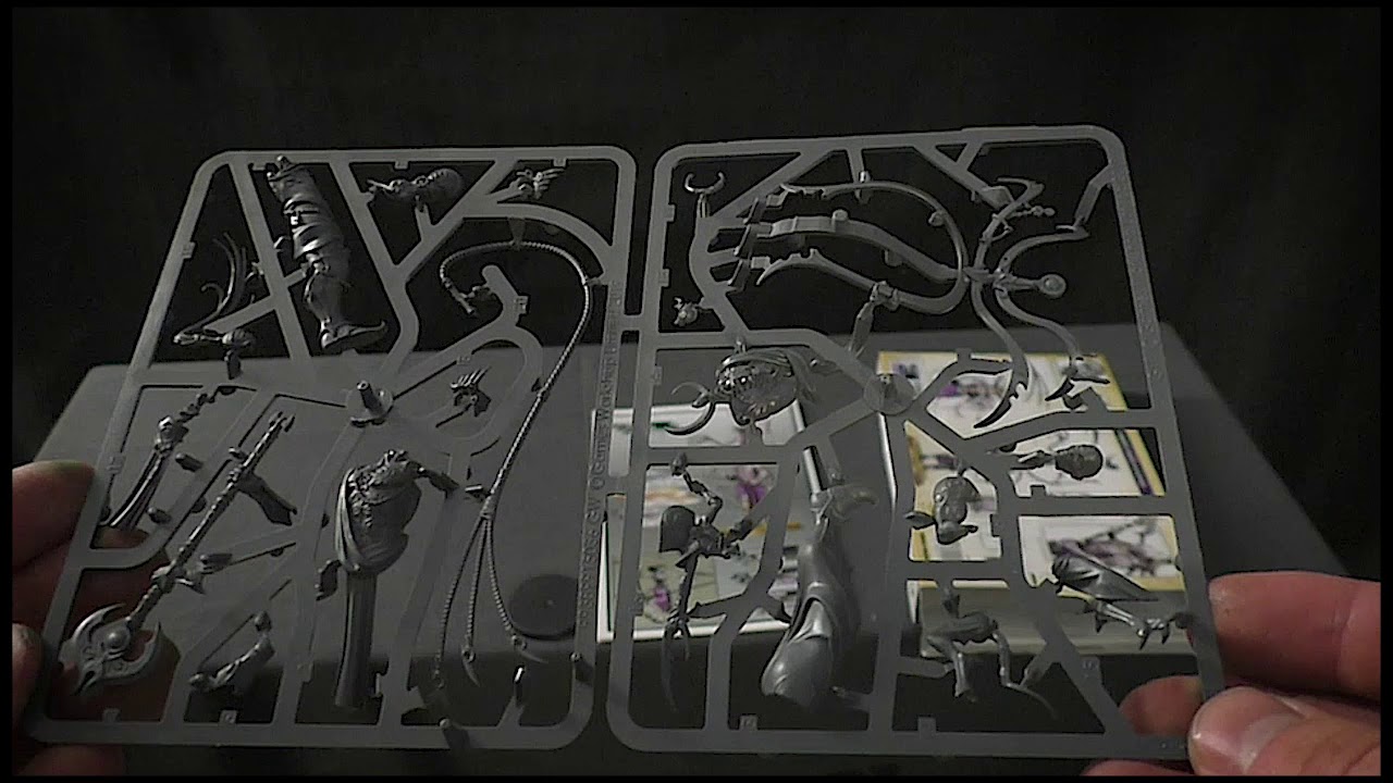 Unboxing от Лавочки Ская :  Hedonites of Slaanesh ← SYLL ' ESSKE: THE VENGEFUL ALLEGIANCE