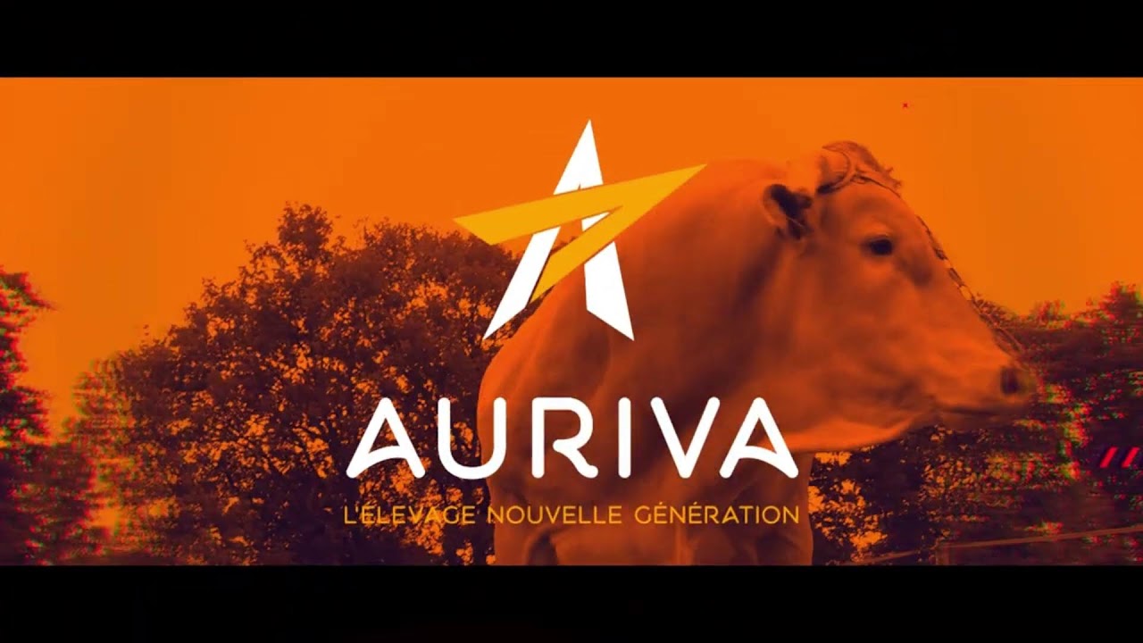 13e Foire agricole LEZAY