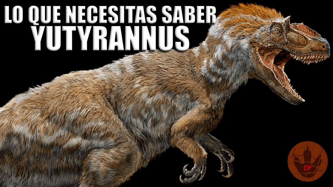 ¡LO QUE NECESITAS SABER DE YUTYRANNUS! (EL ANTEPASADO EMPLUMADO DEL T.REX)