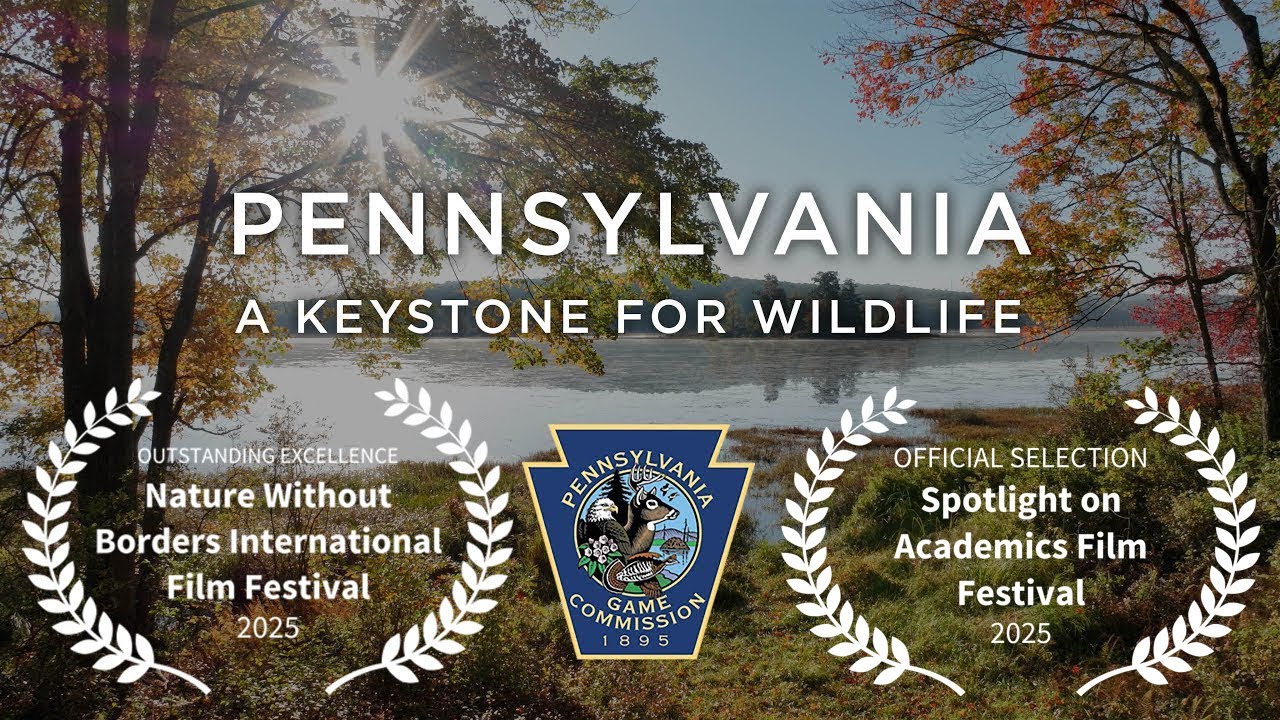 Pennsylvania: A Keystone for Wildlife