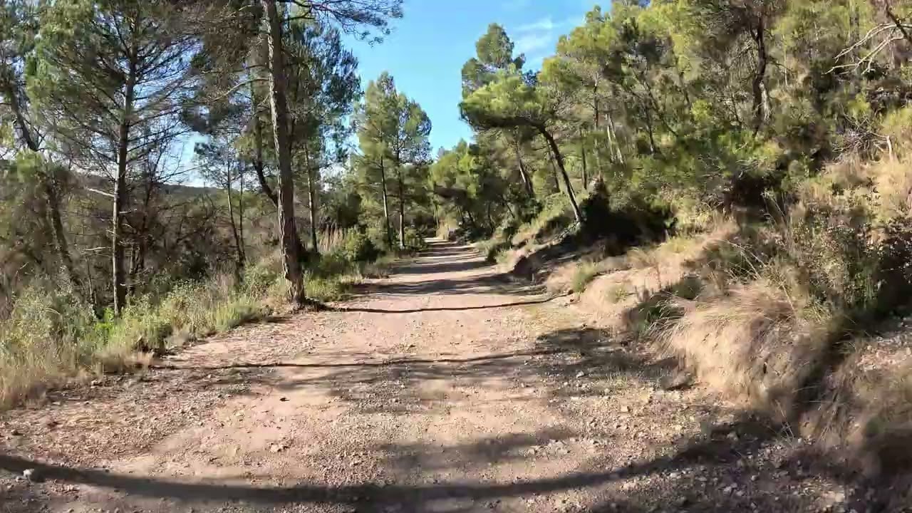 ·rubió· 2602