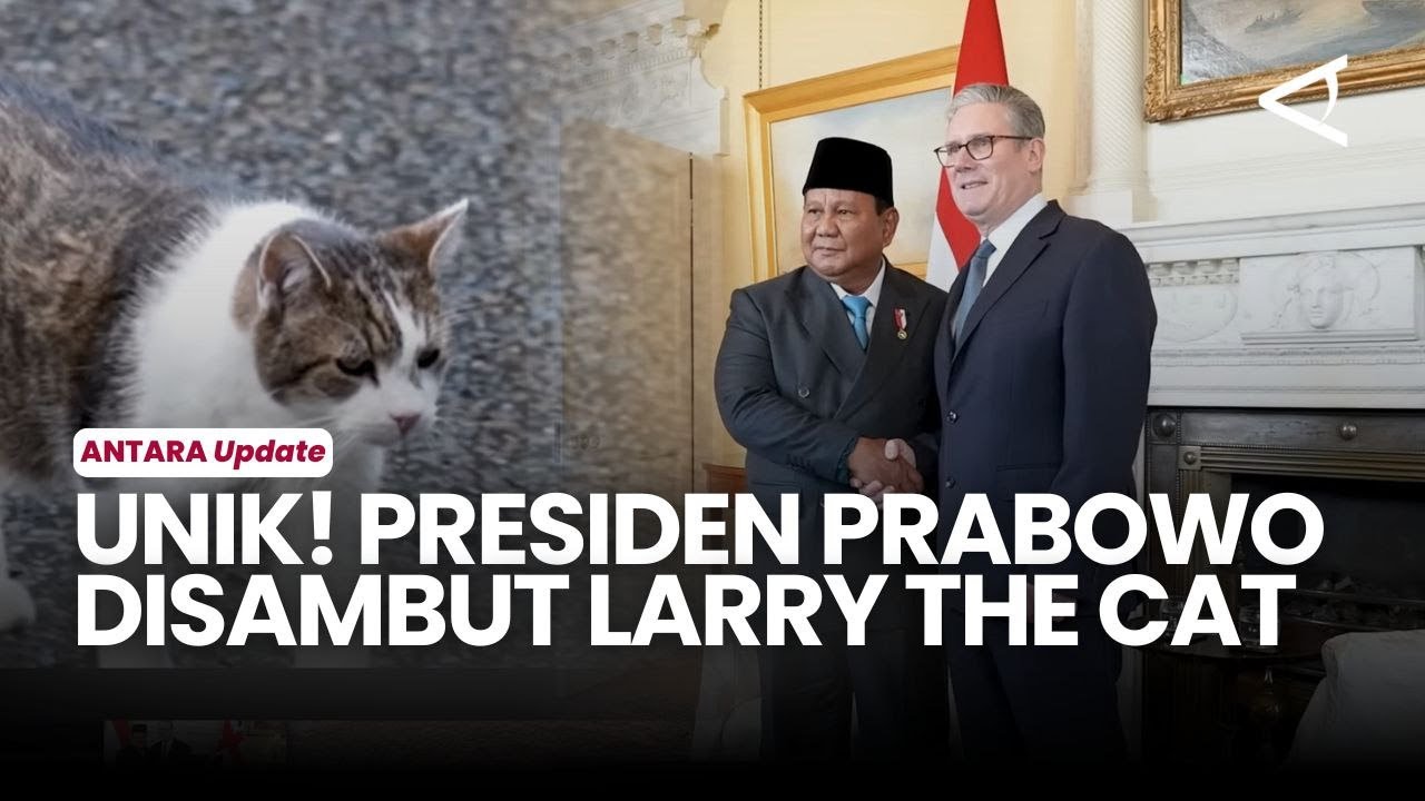 Momen unik Presiden Prabowo Disambut 'Larry The Cat' saat pertemuan Bilateral dengan PM Inggris