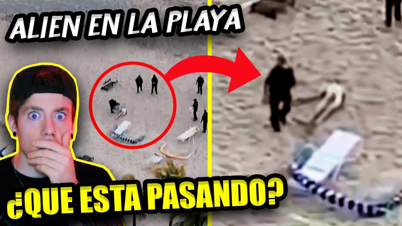 APARECE un ALIEN en una PLAYA de ESTADOS UNIDOS | TODA LA VERDAD