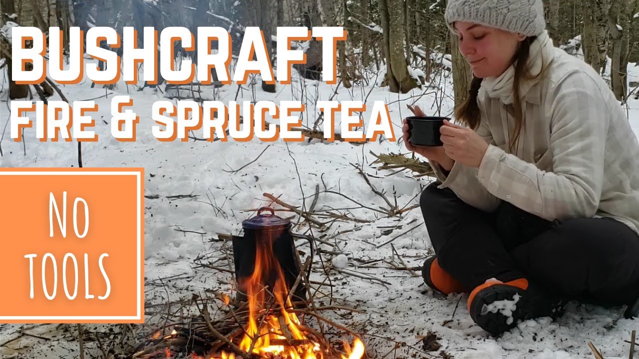 Building a Fire & Making Spruce Tea