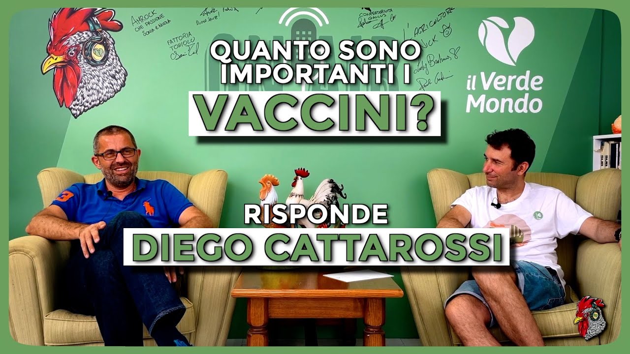 Vaccini animali: ne parliamo con la Clinica Veterinaria di Casale sul Sile