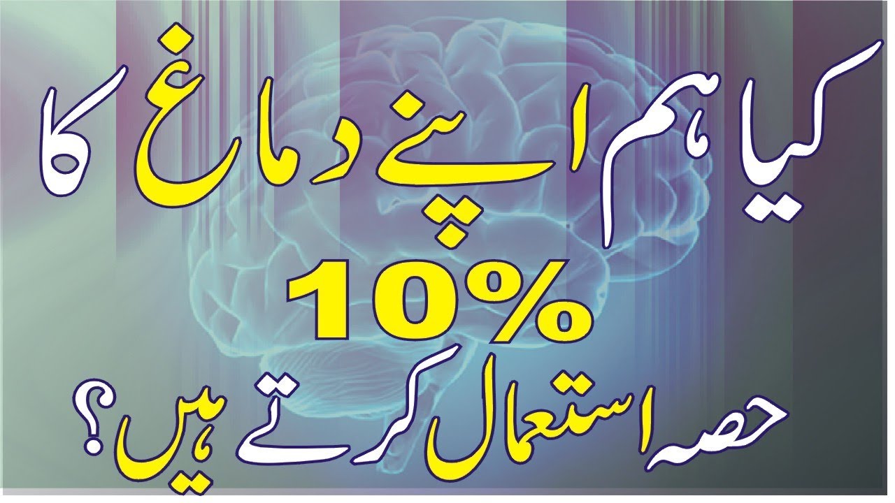 Can We Really Use Only 10% of our Brain?