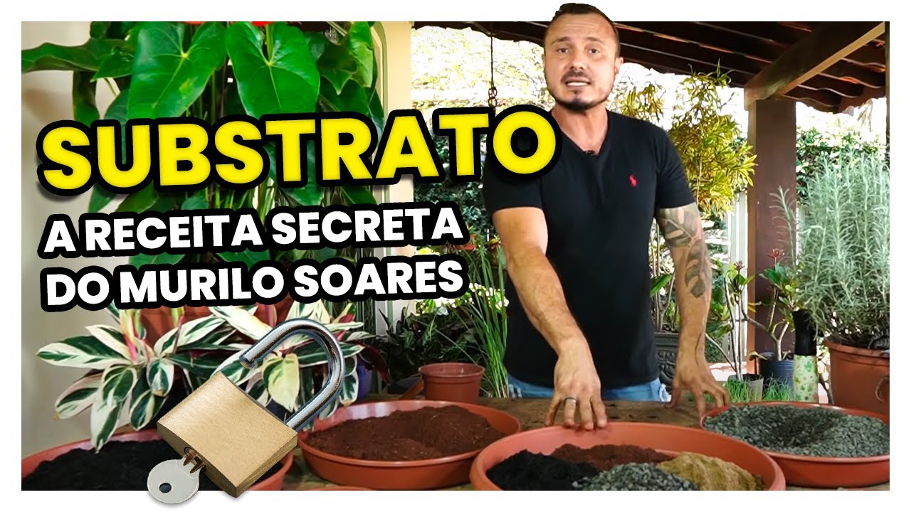 A famosa RECEITA de SUBSTRATO do Murilo Soares