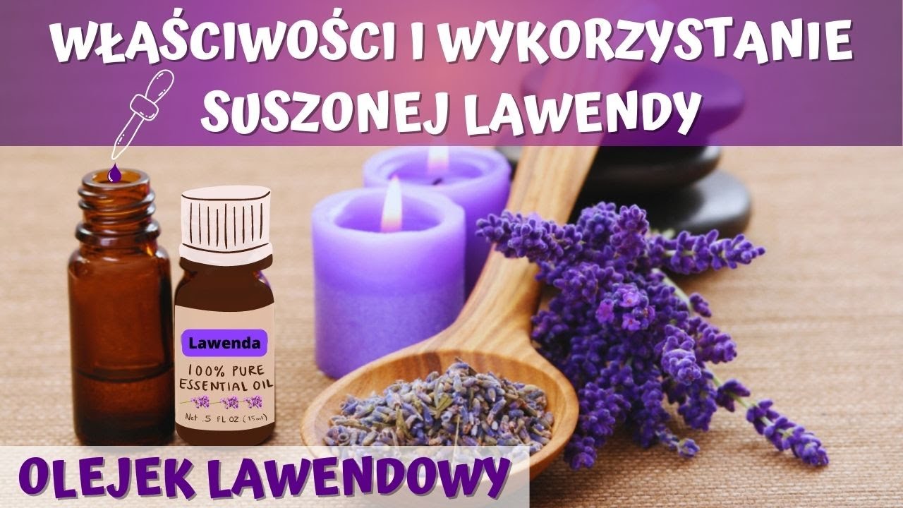 Jak prawidłowo wysuszyć lawendę i do czego ją potem wykorzystać? Jak zrobić olejek lawendowy? 💜💜💜