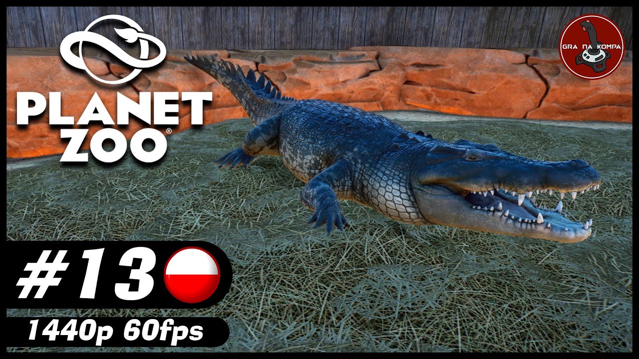 Krokodyle różańcowe | #13 | Planet Zoo PL