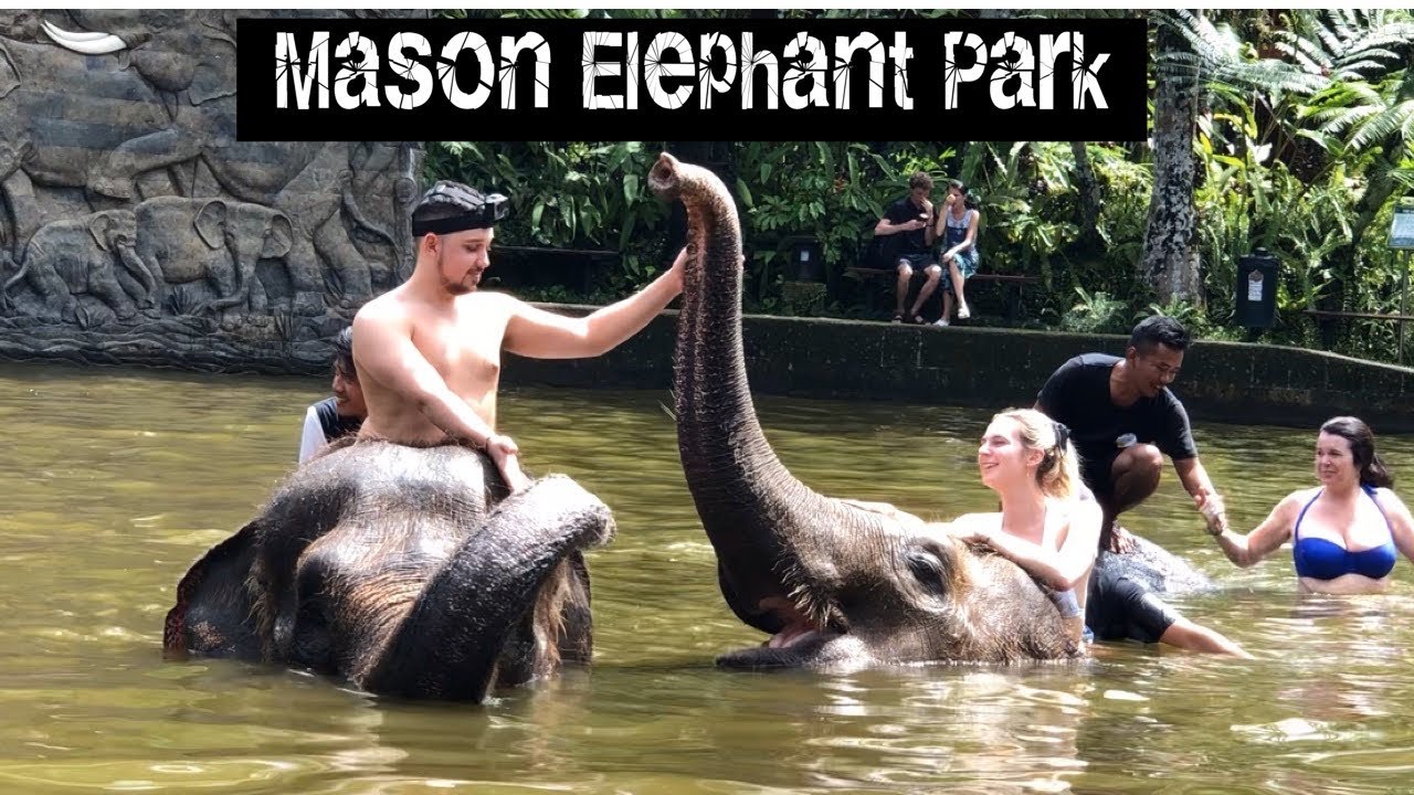 MASON ELEPHANT PARK - BALI