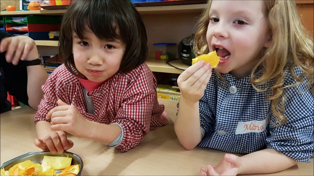 ESCOLA LURDES. Primer nivell 2016-2017