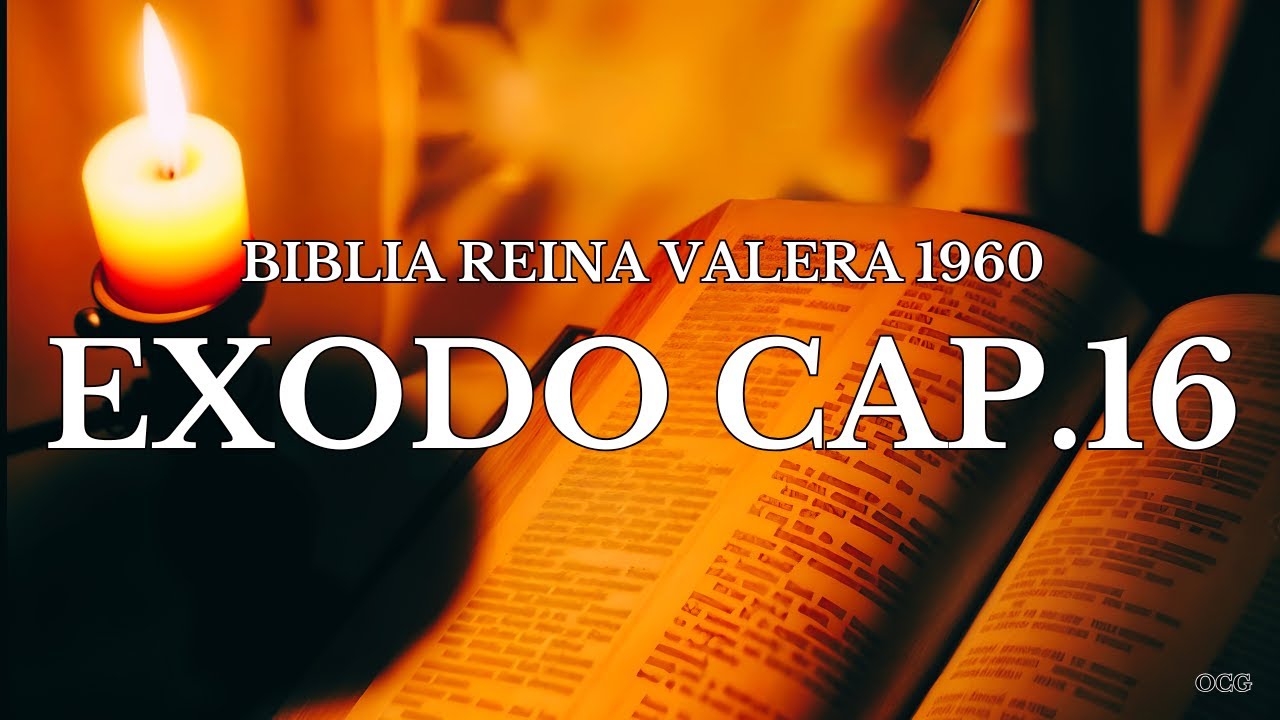 Biblia Hablada-BIBLIA REINA VALERA 1960-EXODO CAP.16