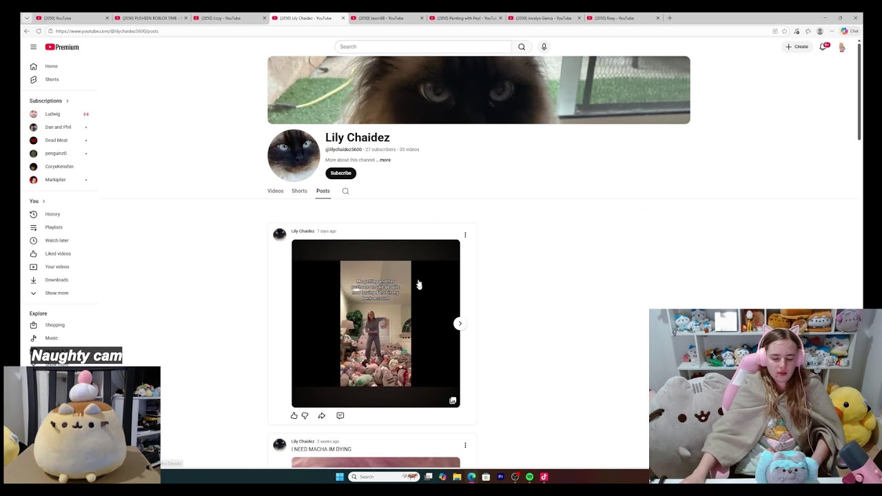 PUSHEEN ROBLOX TIME