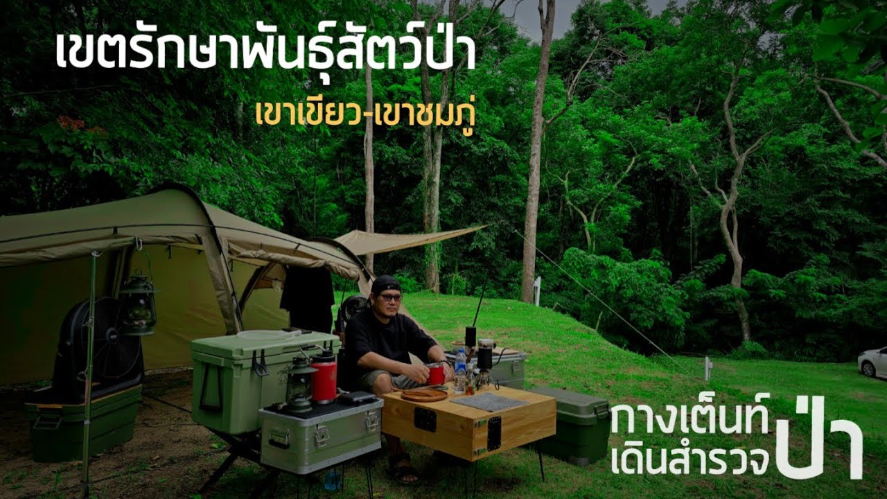 กางเต็นท์ เดินป่าที่เขตรักษาพันธุ์สัตว์ป่าเขาเขียว-เขาชมภู่@ZCamp