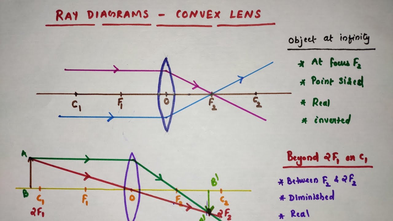 How to draw ray diagrams // Convex lens ray diagrams // Class 10 Physics//