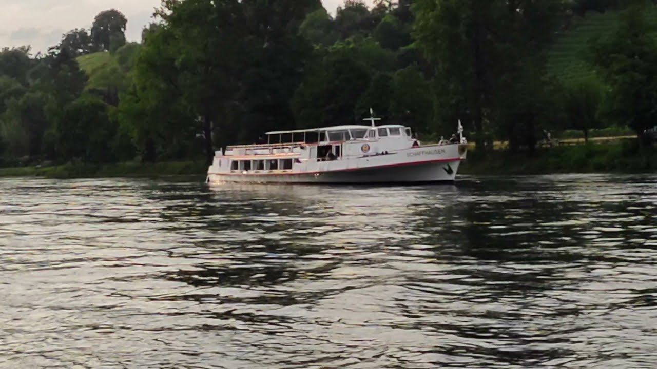 Grosses Linienschiff wendet wegen Hochwasser auf dem Rhein bei Gailingen und legt in Diessenhofen an