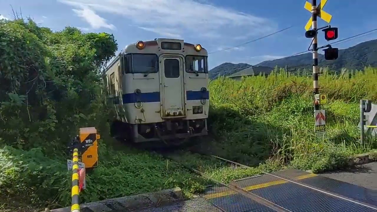 コアラの駅【五位野】とJR踏切（The station with Koala 、and JR railroad crossings）