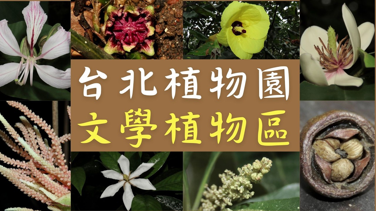 走進中國文學的植物世界，台北植物園文學植物區完整導覽，漫步在詩情畫意的氣氛中。