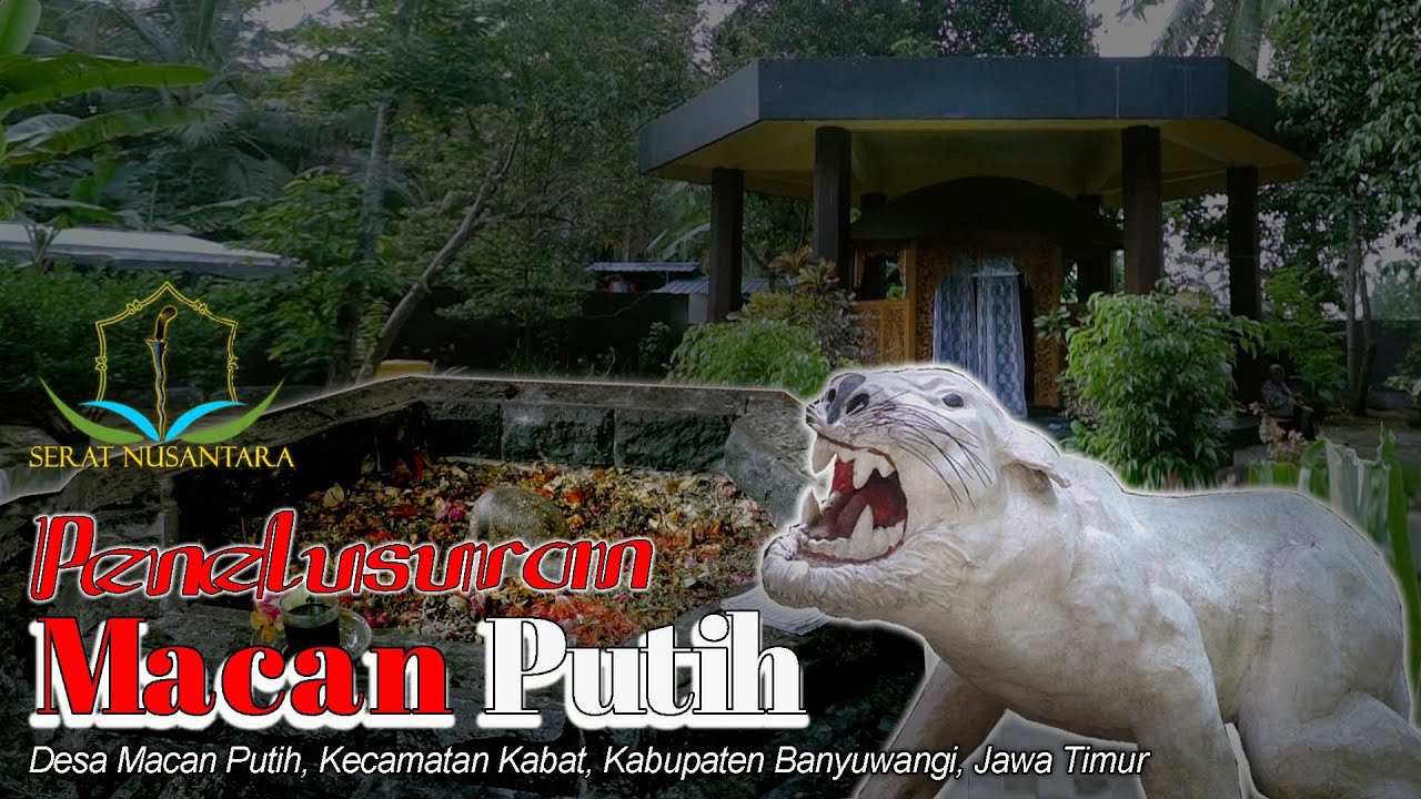 Situs Macan Putih: Jejak Angker Prabu Tawang Alun dan Sang Penjaga Gaib Macan Putih!