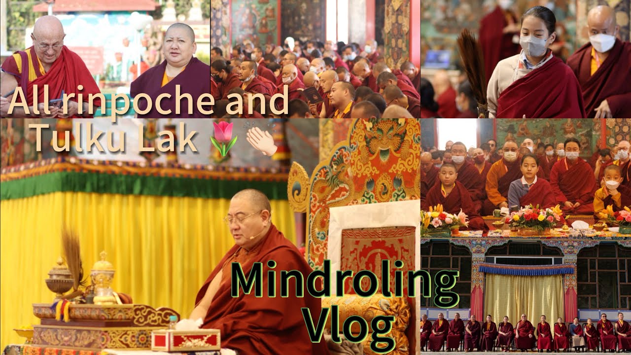 Dehradun Mindroling Monastery Tour (vlog) 