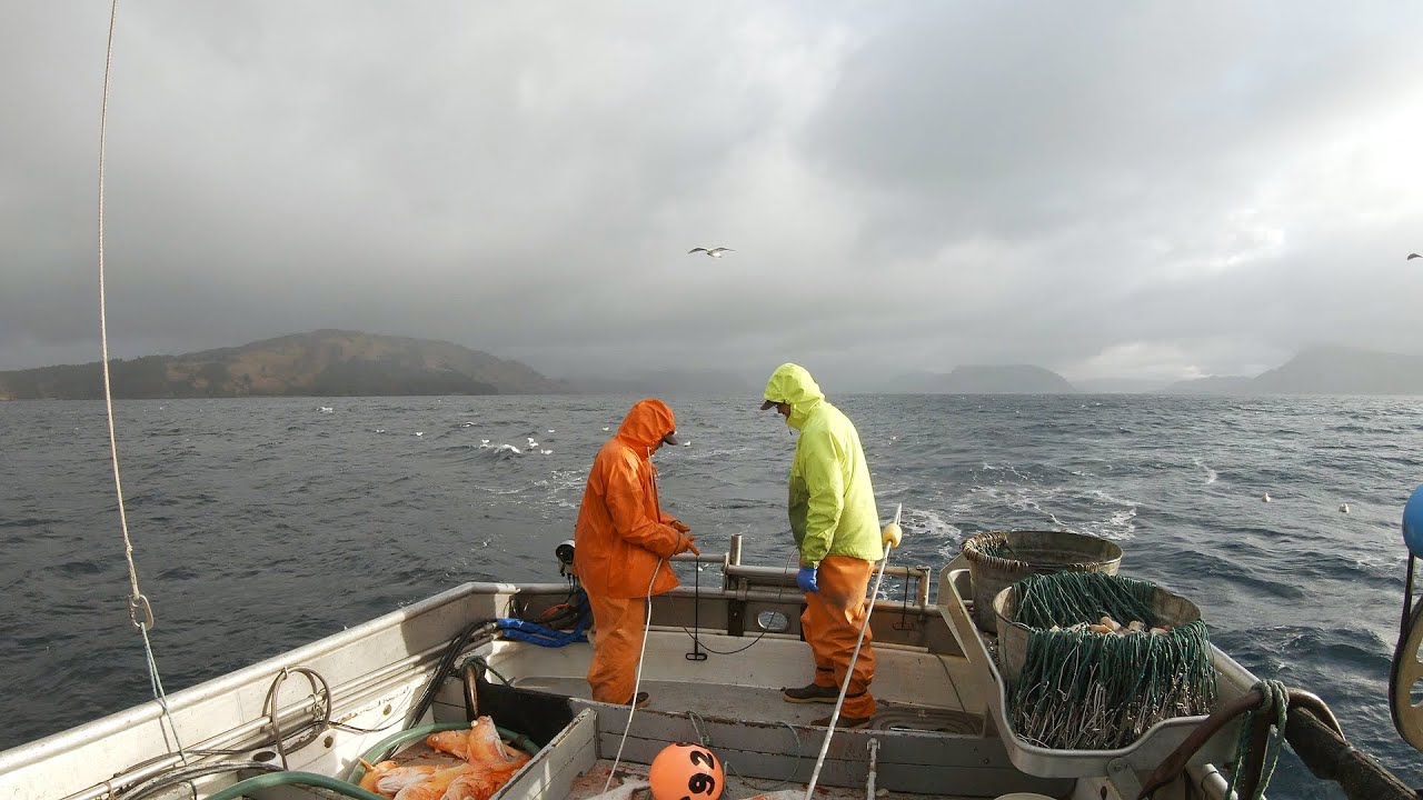 Halibut Fishing - West Side of the Island