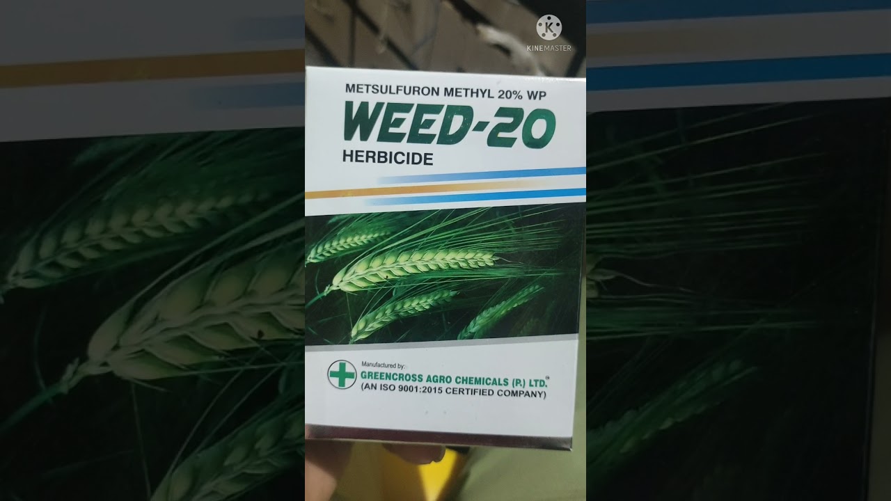 #metsulfuron methyl 20 wp #Weed-20
