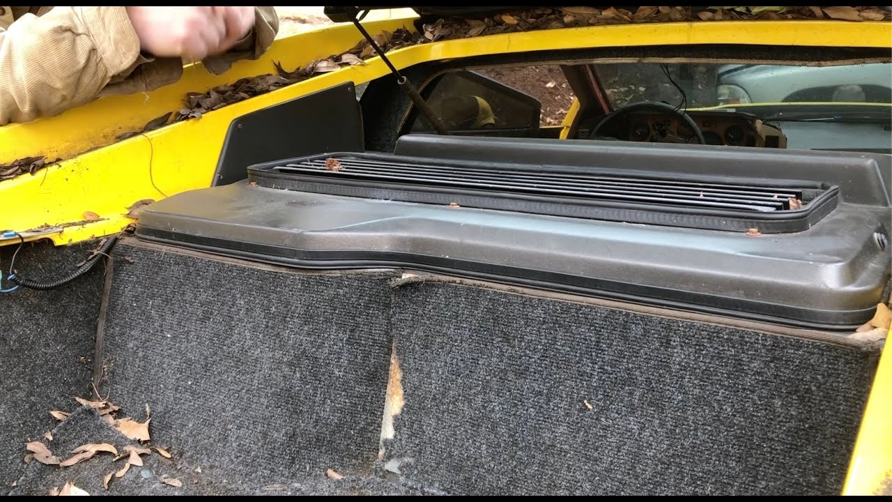 1991 Lotus Esprit Restoration Project - 3 (Removing spark plugs, a CD changer, leaves and eggs)