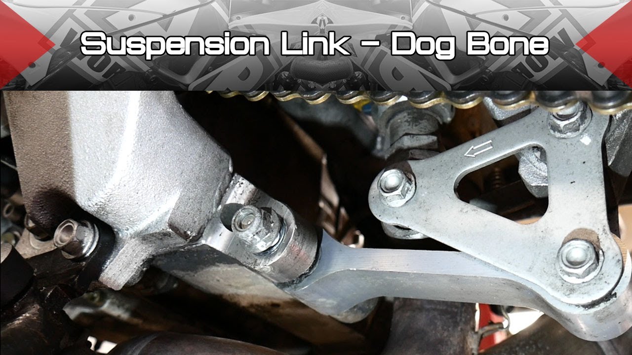 Aprilia, Gen 1 и Gen 2, подвеска (Dog Bone)