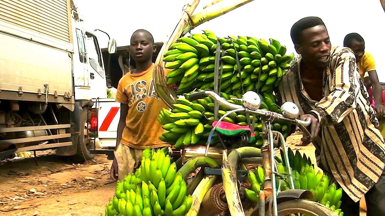 The Matooke Trade: Stories from Mbarara