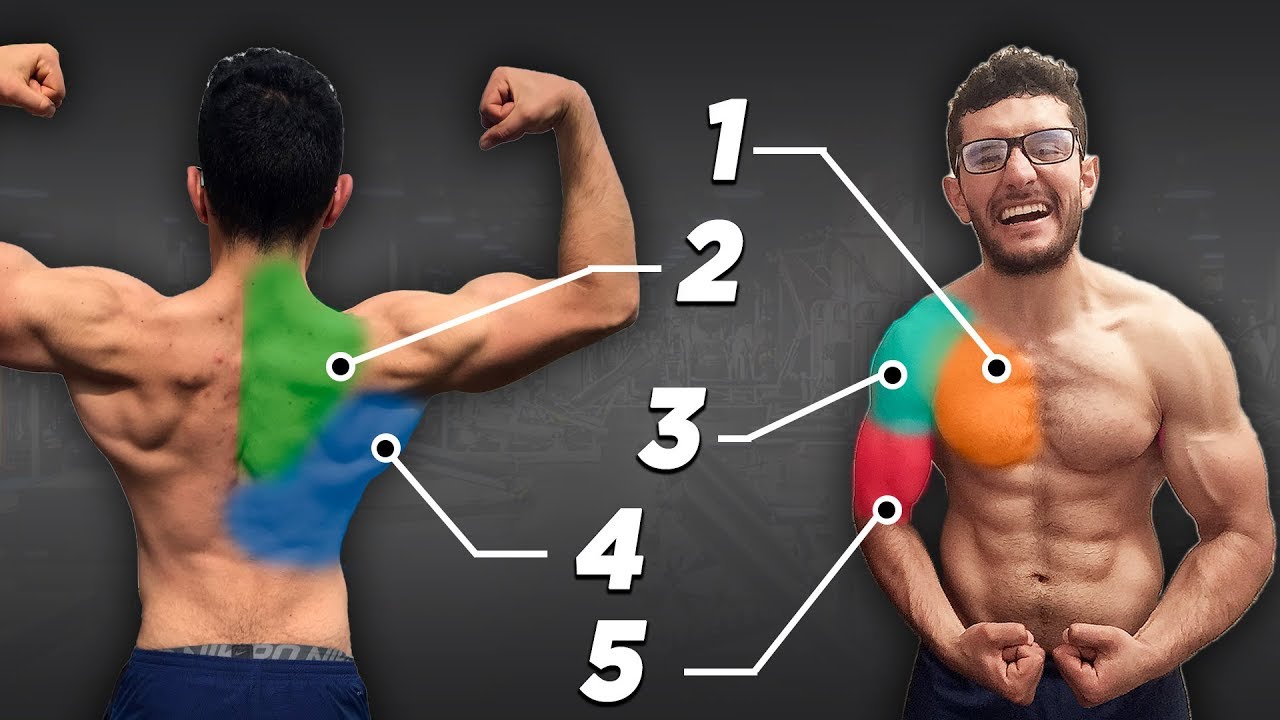 La MEJOR RUTINA DE TORSO según la CIENCIA para AUMENTAR MASA Y DEFINICIÓN (espalda, pecho y hombro)