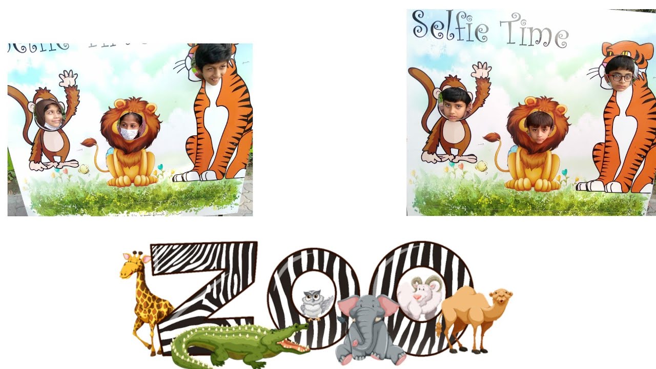 Zoo animals tour/kids activities blogs