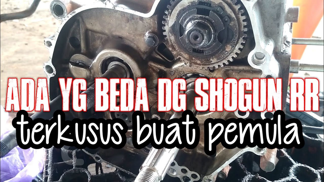 top balancer shogun dan beberapa keanehan lainya || terkusus pemula