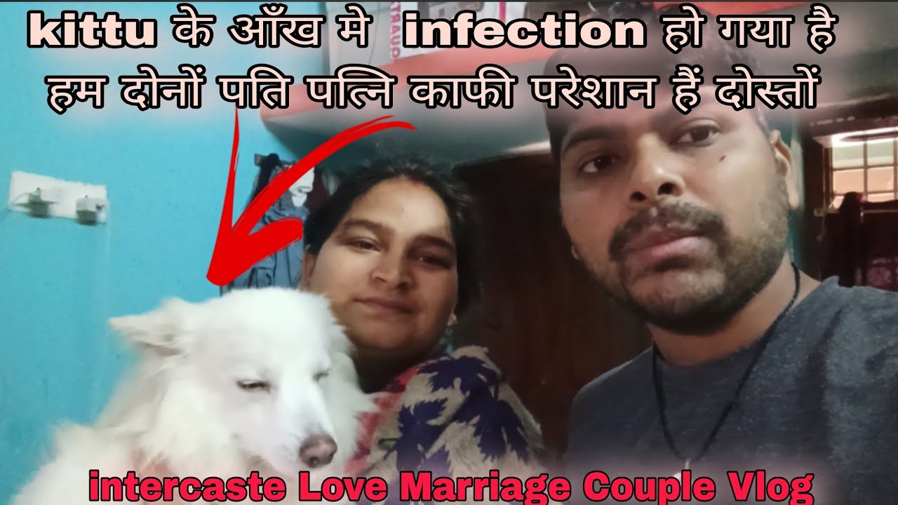 Kittu के आँख मे infection हो गया है#lovemarriage #petparents #couplevolgs #intercastelovemarriage 