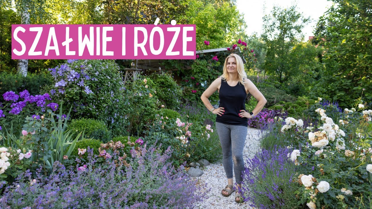 Jak Przycinać Byliny i Róże Latem : Krok po Kroku | prace ogrodowe latem