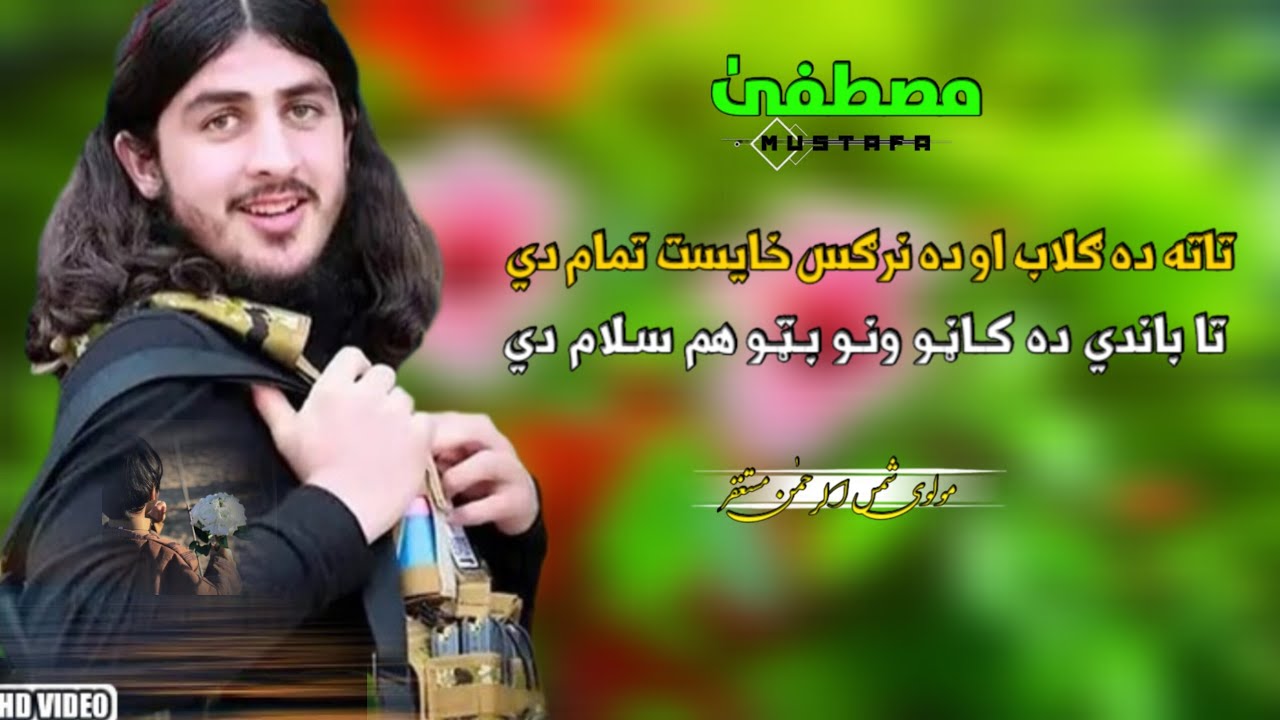 تاته ده ګلاب او ده نرګس خایست تمام دي  //  مولوي شمس الرحمن مستغفر  // Mustafa // نوې ترانه // 2025.