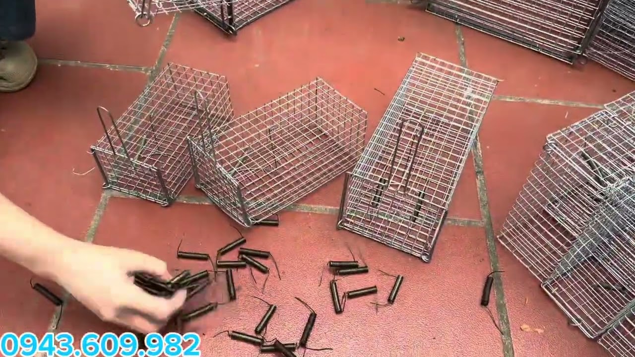 💥LỒNG CHUỘT ĐƯỜNG MÒN, MÈO, CÁO, CHỒN, KHUNG THÉP CHẮC CHẮN HIỆU QUẢ🐰