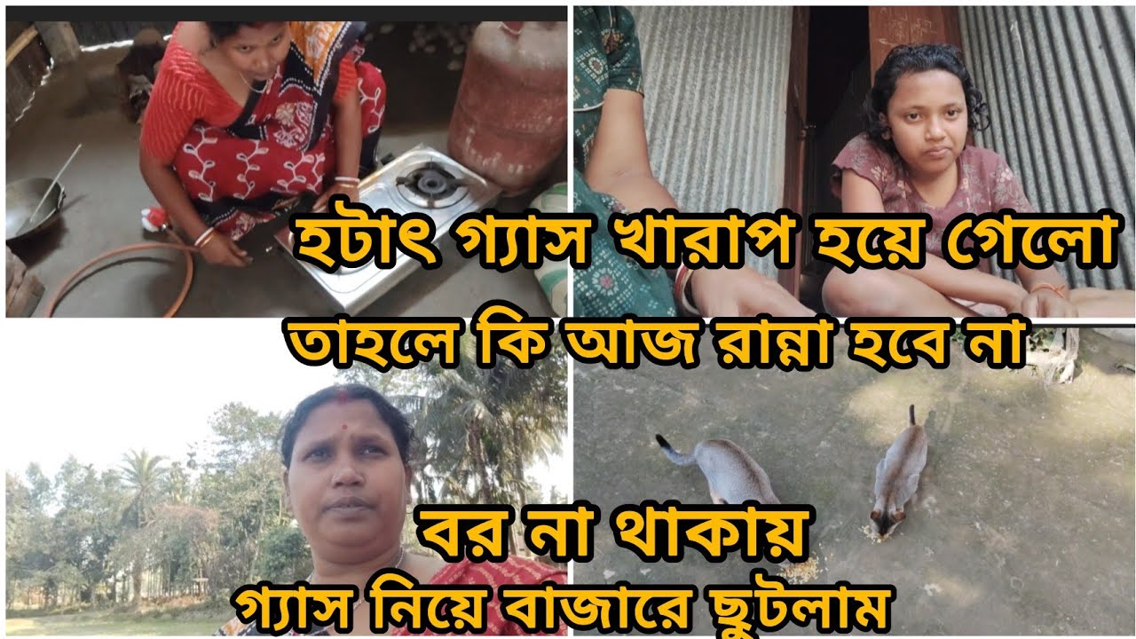 হঠাৎ গ্যাস খারাপ হয়ে গেছে , তাহলে কি আজ রান্না হবে না। বর না থাকায় গ্যাস নিজে বাজারে ছুটতে হচ্ছে।
