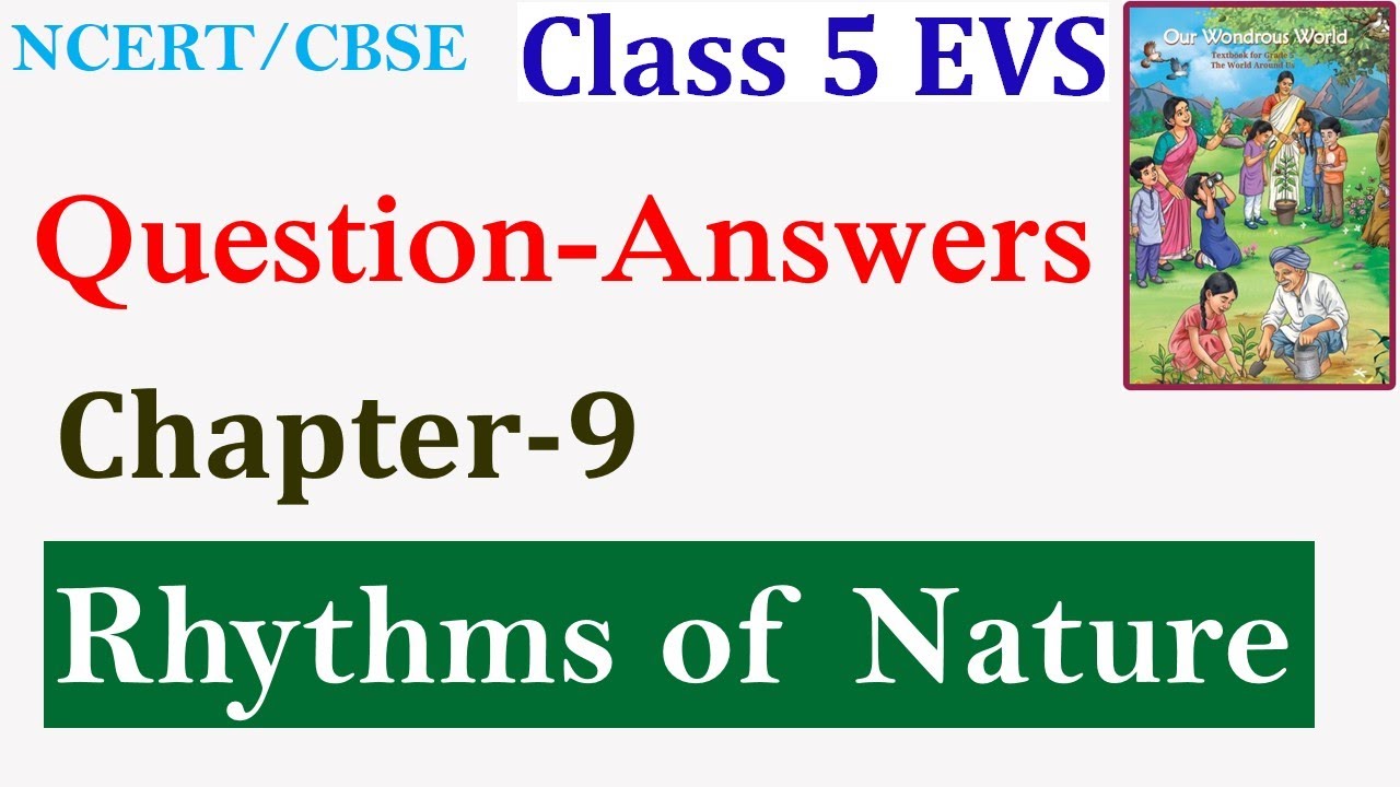 NCERT Class 5 EVS Chapter 9 Rhythms Question answers