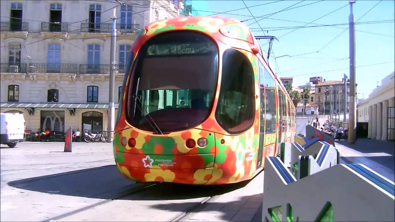 Bus et tram du réseau TaM à Montpellier