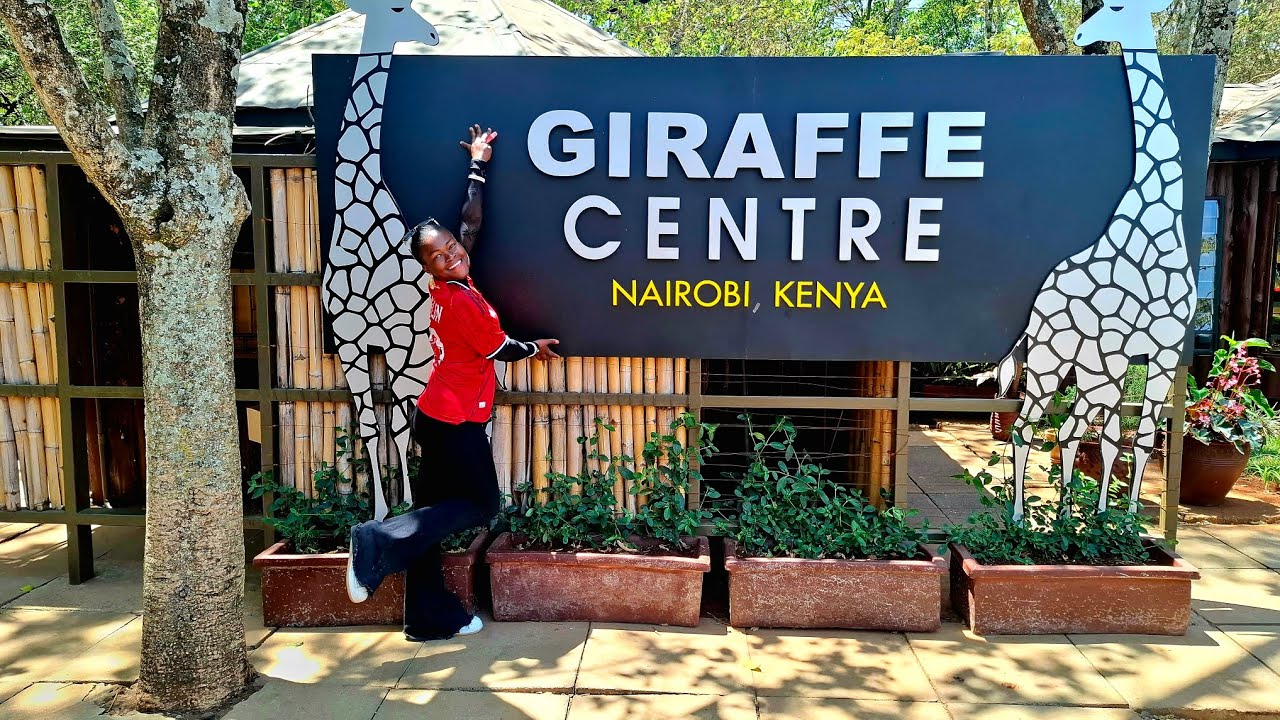 My first time at the Giraffe centre Nairobi  Kenya//best experience ever 