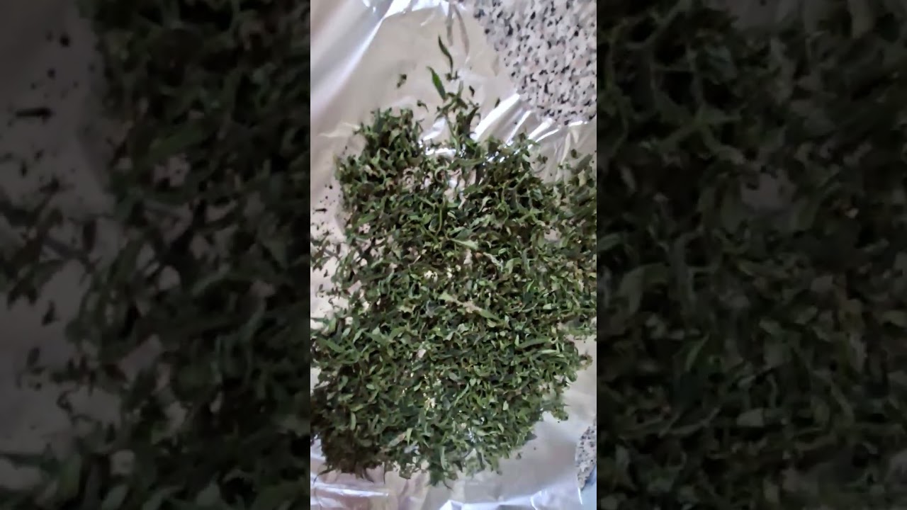 BUDDIES Bud Box Dry Sift Review and Test Some Pre Flushed Leaves