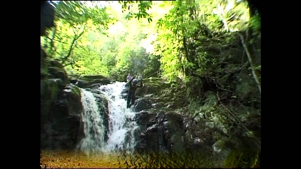 THE CROW NUNO FLORES NEW SONG HOUSE VIOLIN « I WANT TO GIVE YOU MY LOVE »