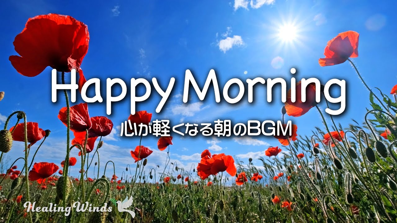 【朝の音楽】心が軽くなるポジティブBGM 💐 Happy Morning 🌷 Morning Music for Positive Feelings and Energy 🌼