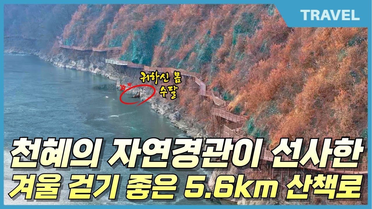 귀하신 몸 수달을 볼 수 있는 천혜의 자연경관 옥천 향수호수길 5.6km 산책로  #충북가볼만한곳, #옥천가볼만한곳, #옥천향수호수길