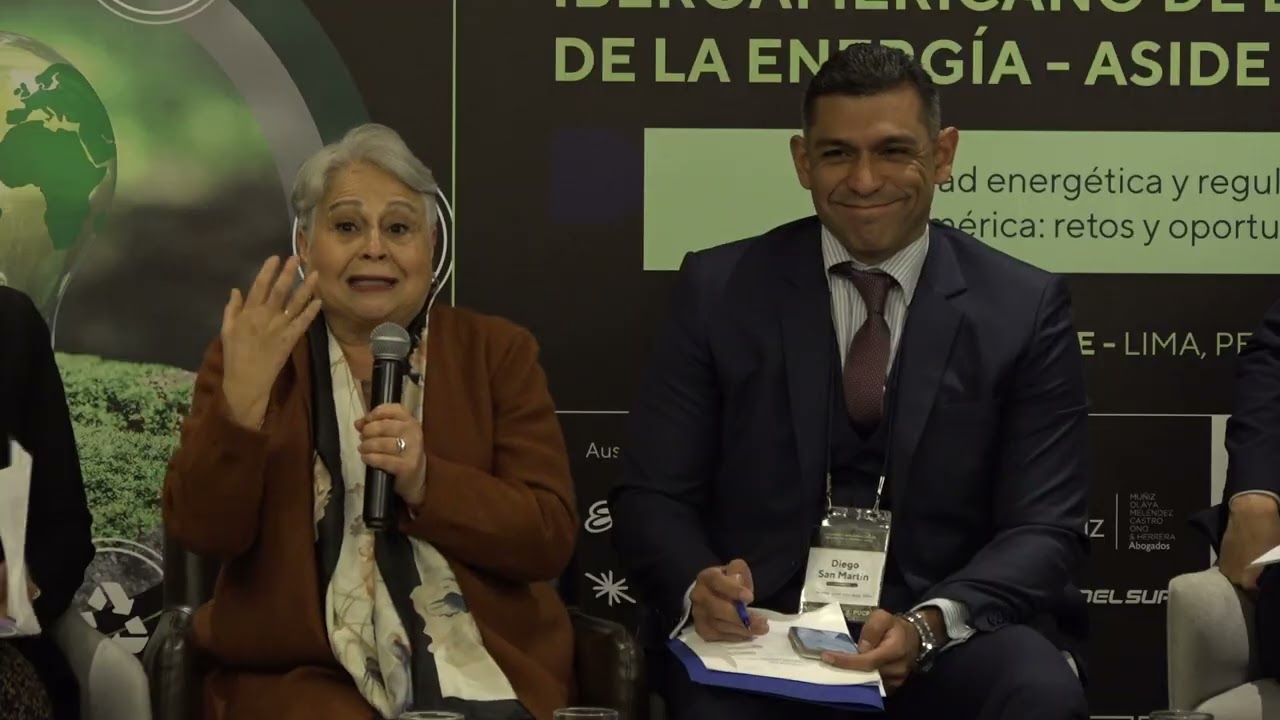 Congreso ASIDE 2025 / Lima, Perú - Panel 9