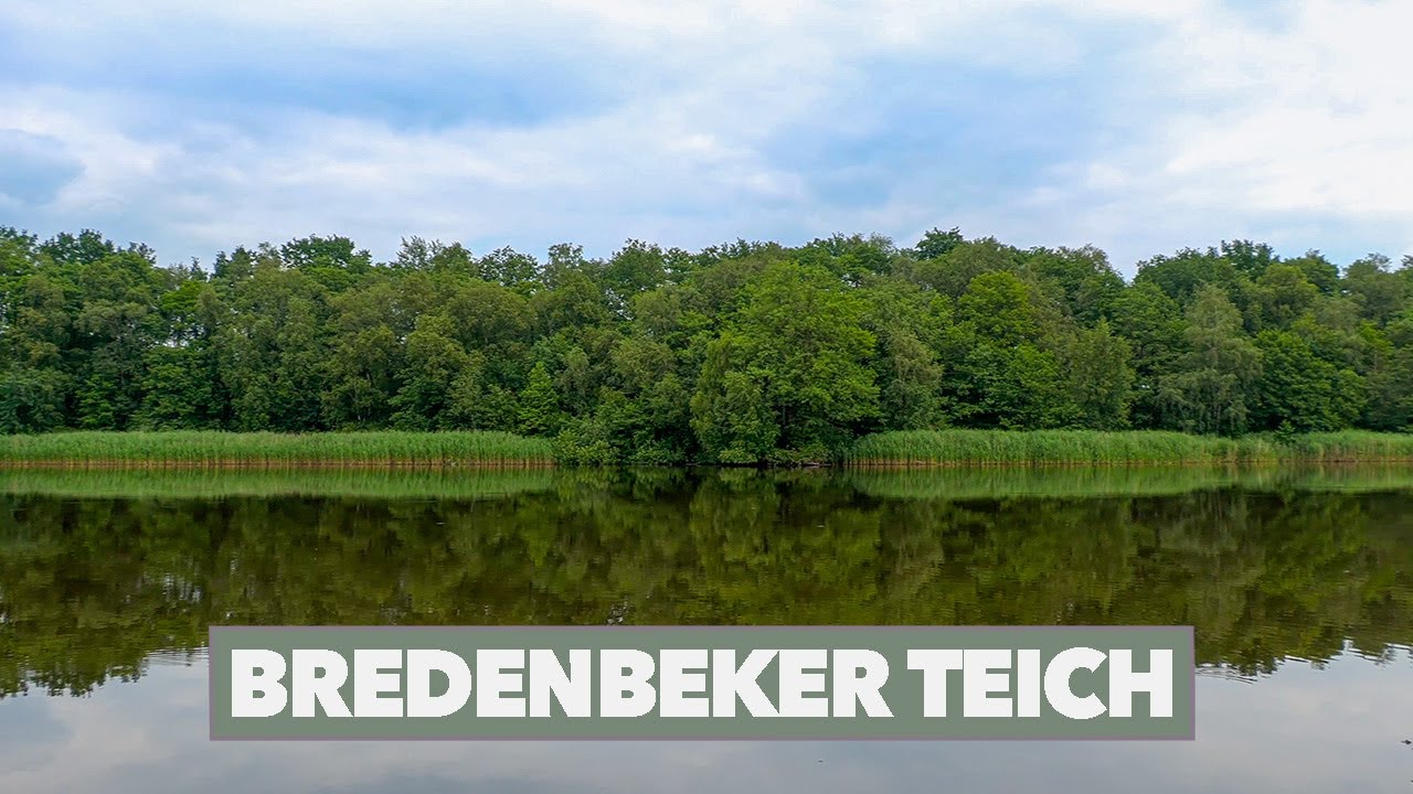 Rundwanderung Bredenbeker Teich | 4K UHD