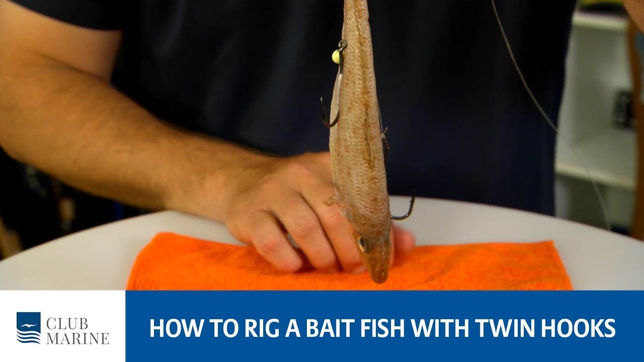 How to rig a baitfish with a double hook rig - fishing tip by Paul Worsteling | Club Marine