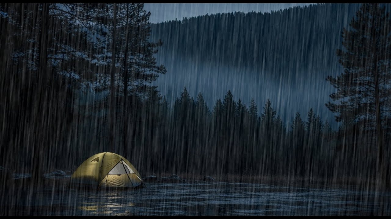 LIVE: Rain Sounds in a Tent 🌧️ Forest Camping Ambience for Deep Sleep & Relaxation