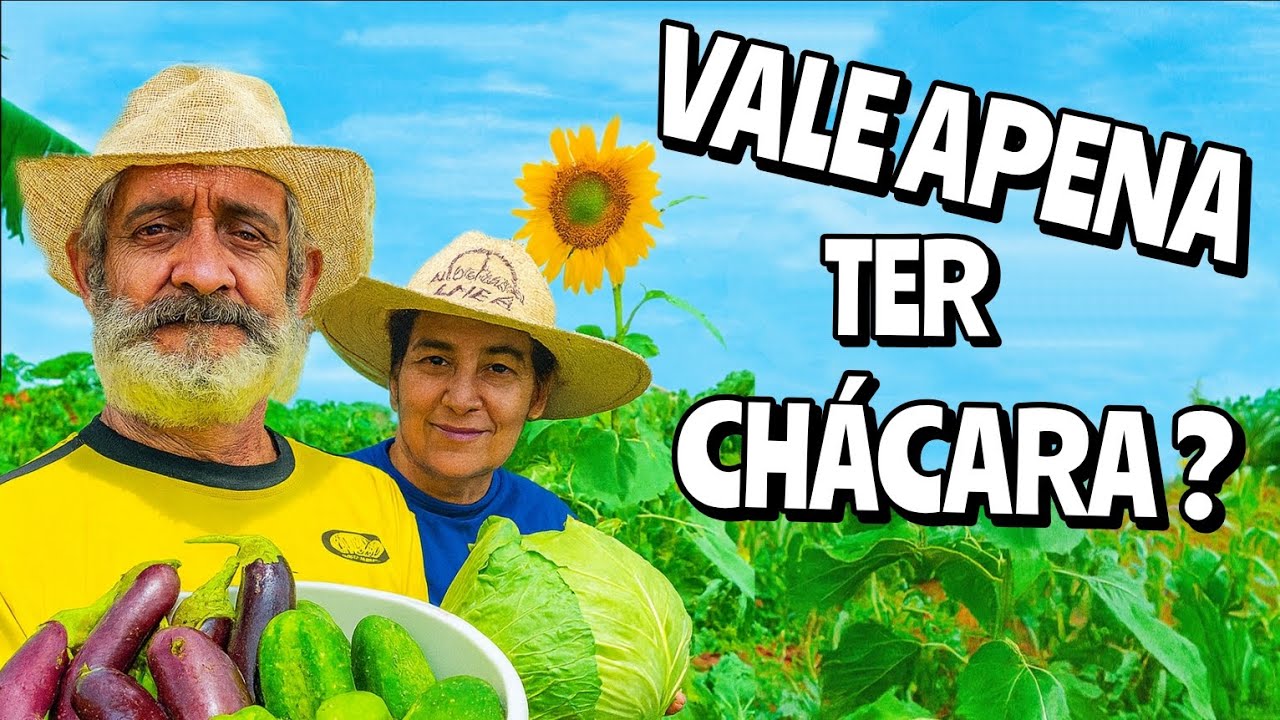 Vale a Pena Ter uma Chácara? Colheita do Marcão e da Ivanete Mostra a Resposta! #chácara 