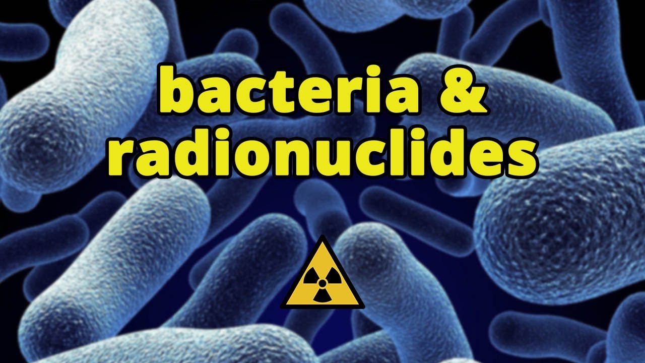 Can bacteria help in nuclear waste disposal? - Practical nuclear chemistry